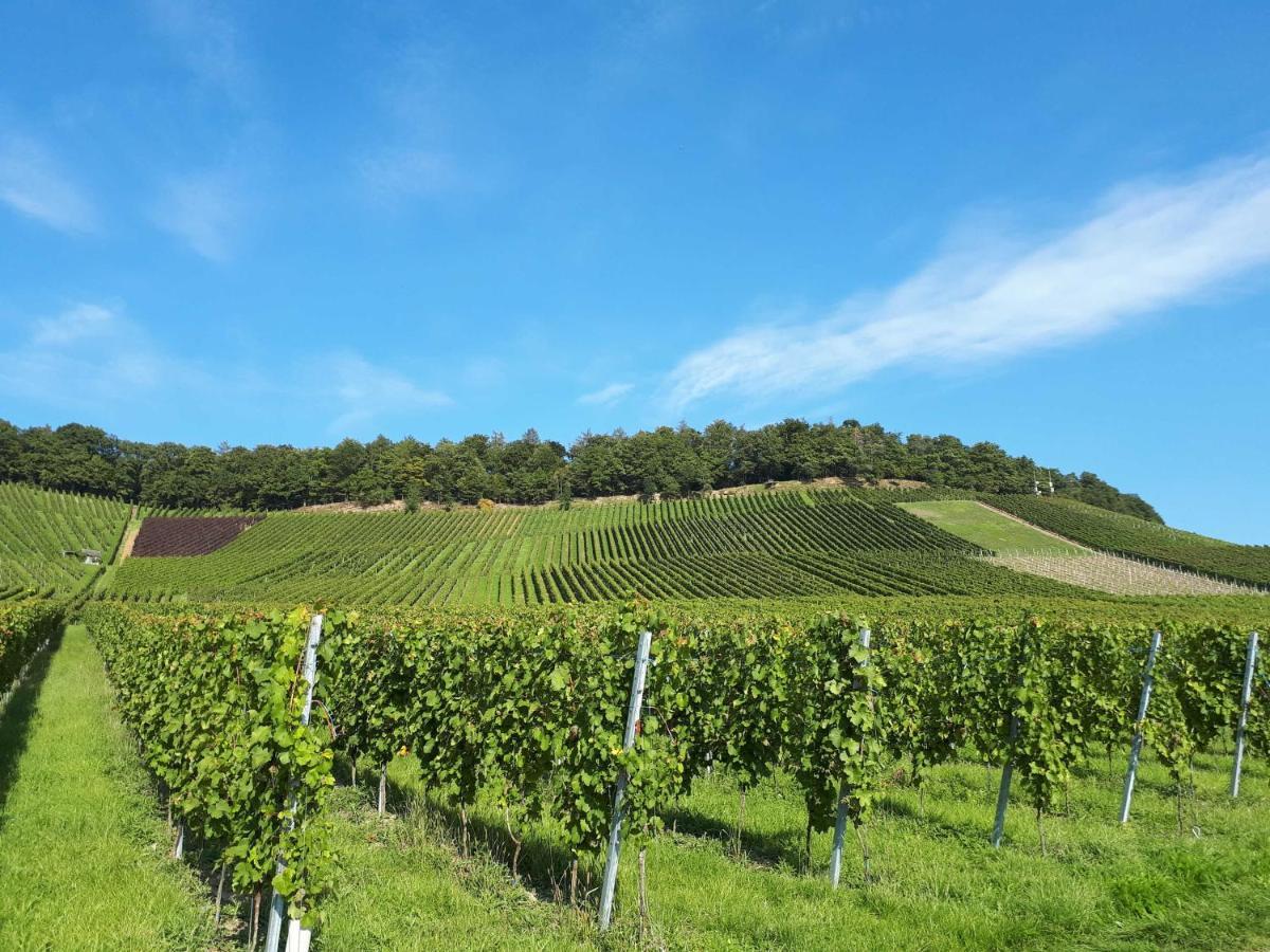 Weinlodge Am Geissberg Eberstadt Экстерьер фото