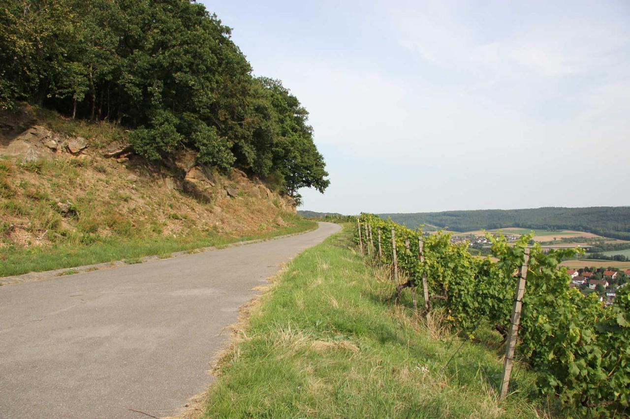 Weinlodge Am Geissberg Eberstadt Экстерьер фото